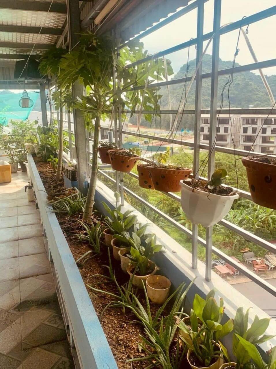 Thu Thuy Hotel Chan Chau Exterior foto